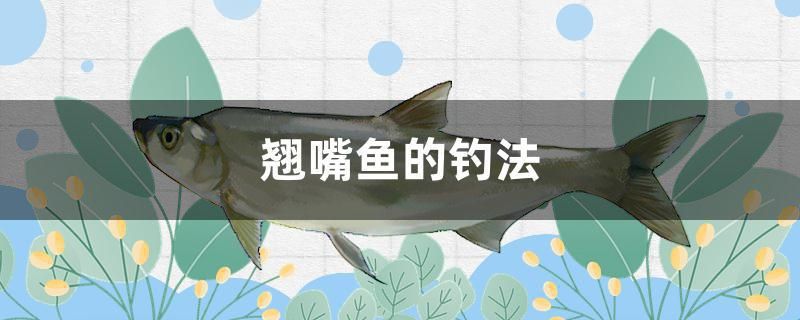 翹嘴魚的釣法