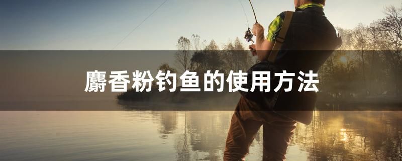 麝香粉釣魚(yú)的使用方法