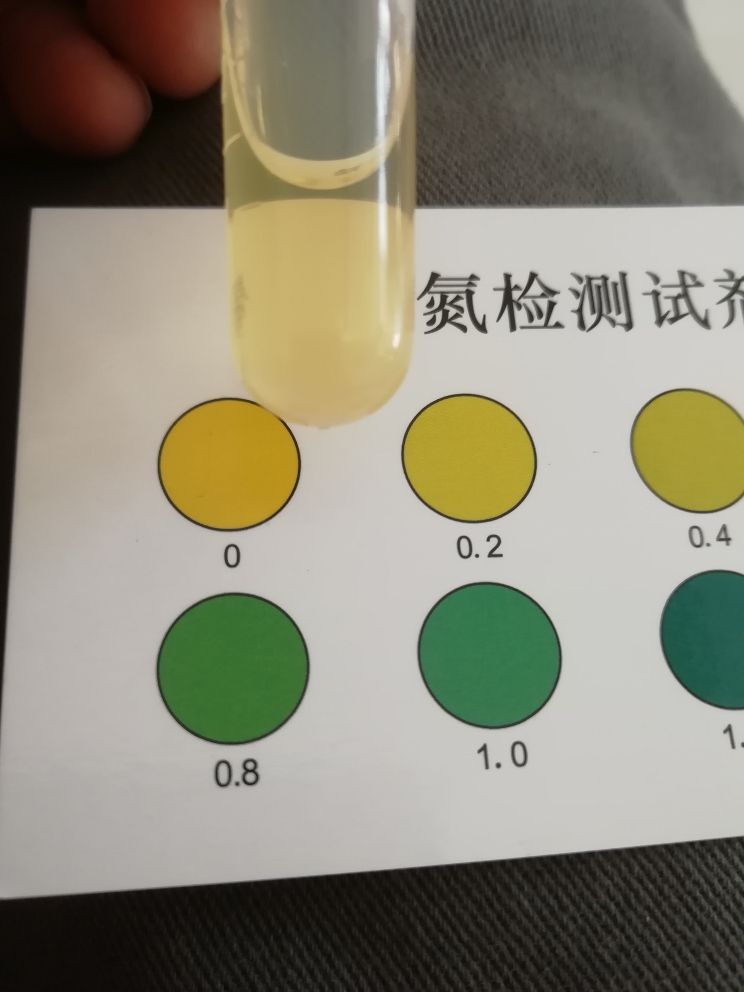 自來水氨氮測試結(jié)果 觀賞魚論壇