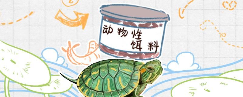 小巴西龜一天喂幾次 埃及神仙魚