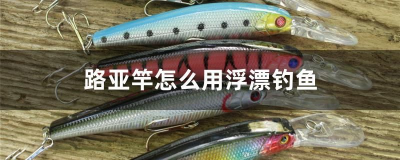 路亞竿怎么用浮漂釣魚 皇冠黑白魟魚