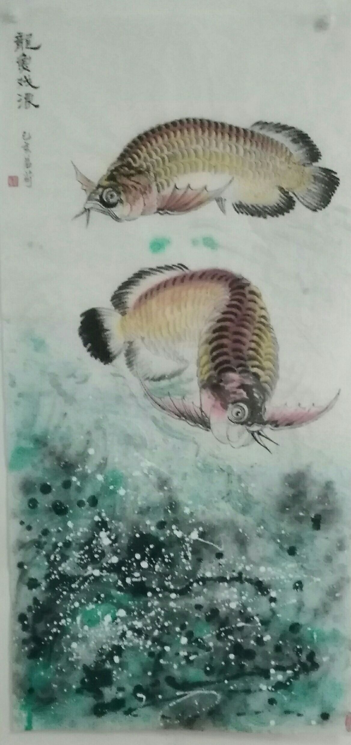 我畫的金龍魚(yú)，魚(yú)中之王，鎮(zhèn)宅之寶。