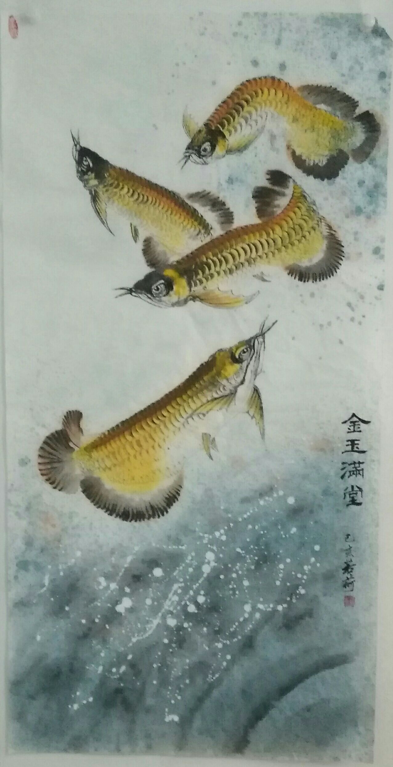 我畫的金龍魚(yú)，魚(yú)中之王，鎮(zhèn)宅之寶。