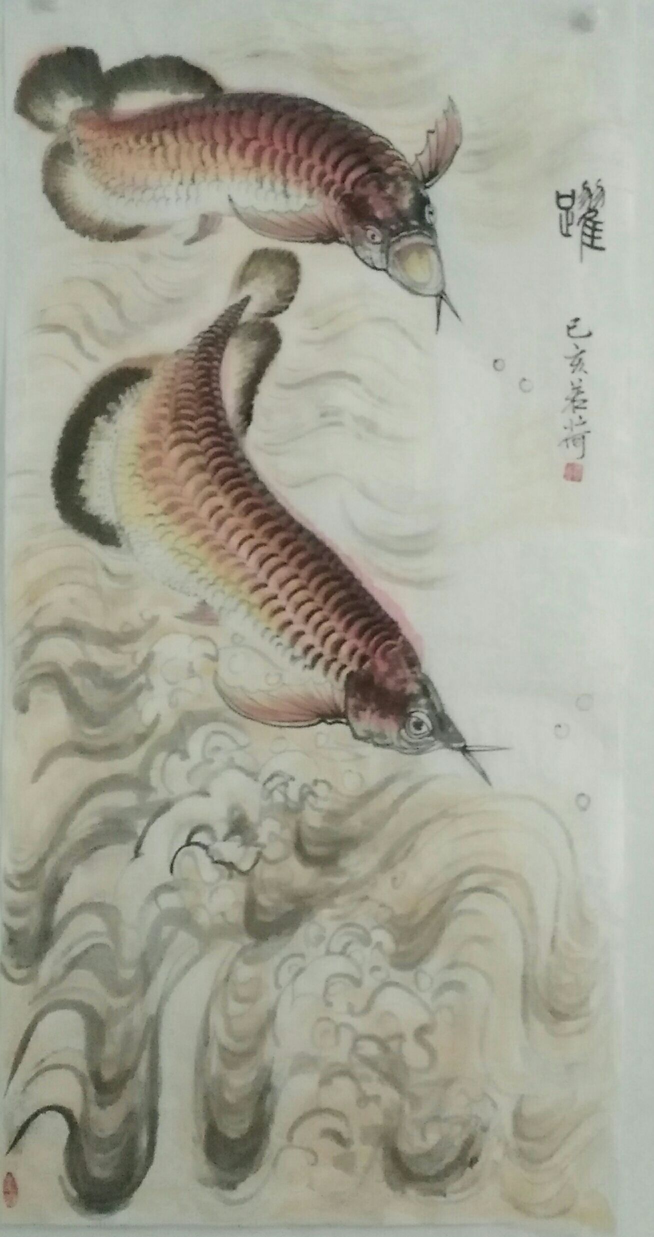 我畫(huà)的金龍魚(yú)，魚(yú)中之王，鎮(zhèn)宅之寶。 觀賞魚(yú)論壇 第5張