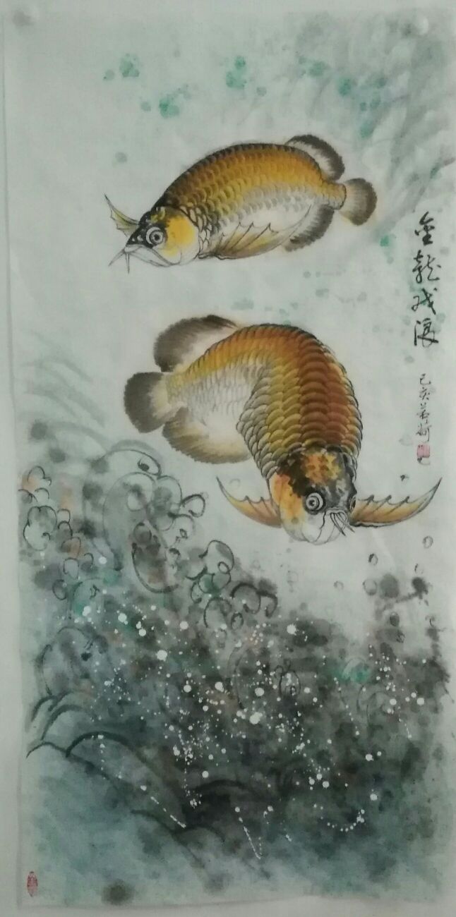 我畫(huà)的金龍魚(yú)，魚(yú)中之王，鎮(zhèn)宅之寶。 觀賞魚(yú)論壇 第7張