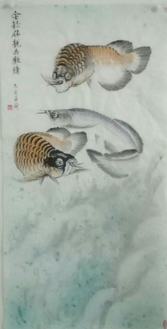 我畫(huà)的金龍魚(yú)，魚(yú)中之王，鎮(zhèn)宅之寶。 觀賞魚(yú)論壇 第6張