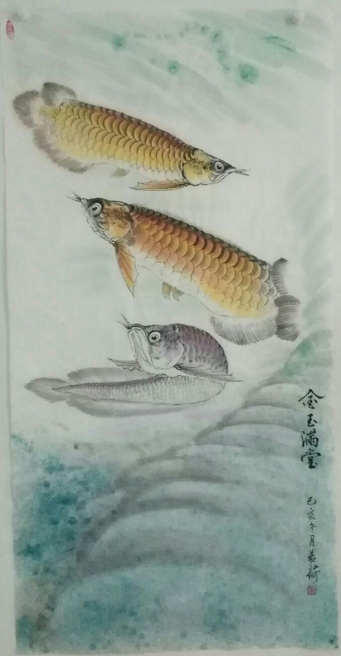 我畫(huà)的金龍魚(yú)，魚(yú)中之王，鎮(zhèn)宅之寶。 觀賞魚(yú)論壇 第9張