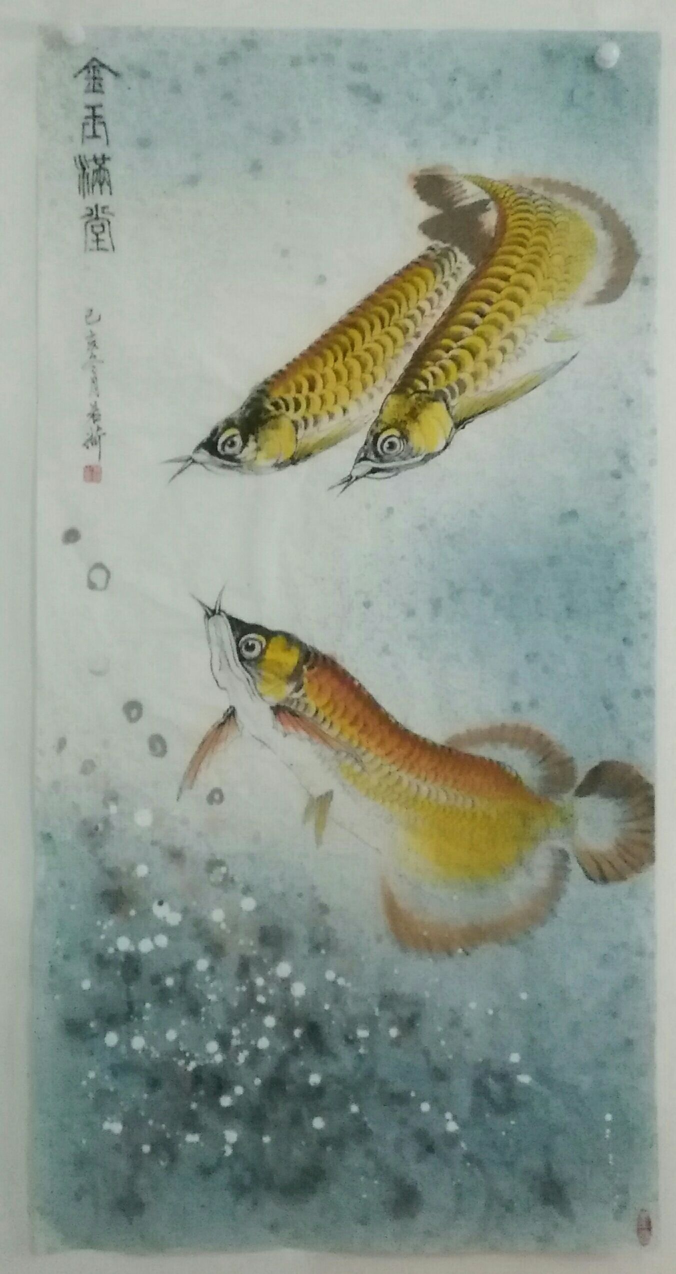 我畫(huà)的金龍魚(yú)，魚(yú)中之王，鎮(zhèn)宅之寶。 觀賞魚(yú)論壇 第8張