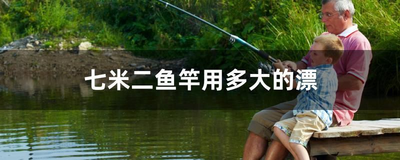 七米二魚竿用多大的漂 海水魚