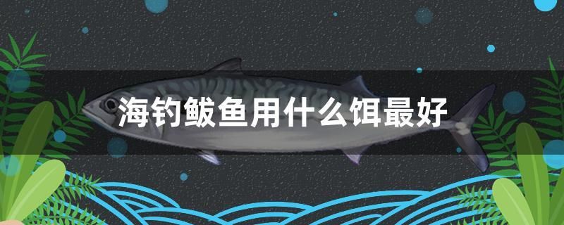 海釣鲅魚(yú)用什么餌最好 紅頭利魚(yú)