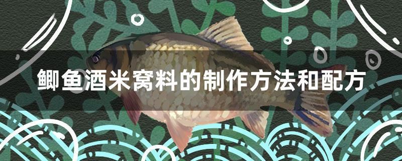 鯽魚酒米窩料的制作方法和配方 青龍魚