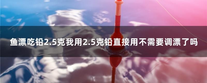 魚(yú)漂吃鉛2.5克我用2.5克鉛直接用不需要調(diào)漂了嗎 彩鰈魚(yú)缸（彩蝶魚(yú)缸）