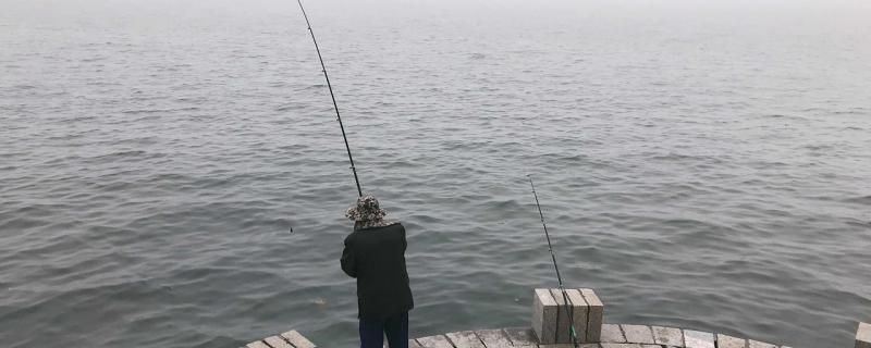 釣海鮒用幾號鉤用什么餌