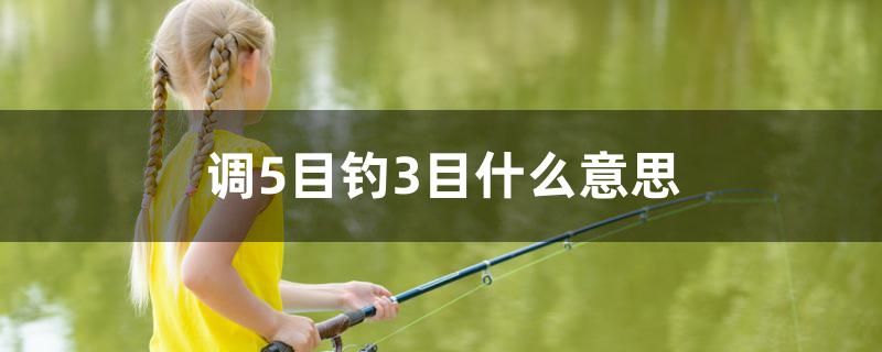 調(diào)5目釣3目什么意思 PH調(diào)節(jié)劑