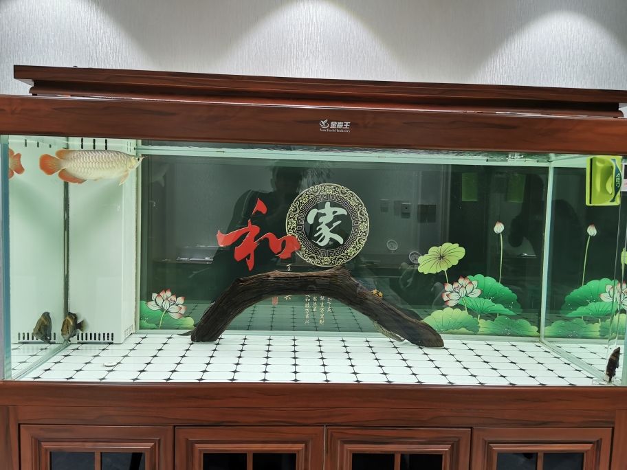 三亞哪里賣魚(yú)缸便宜又好看(三亞哪里賣魚(yú)缸便宜又好看的店)