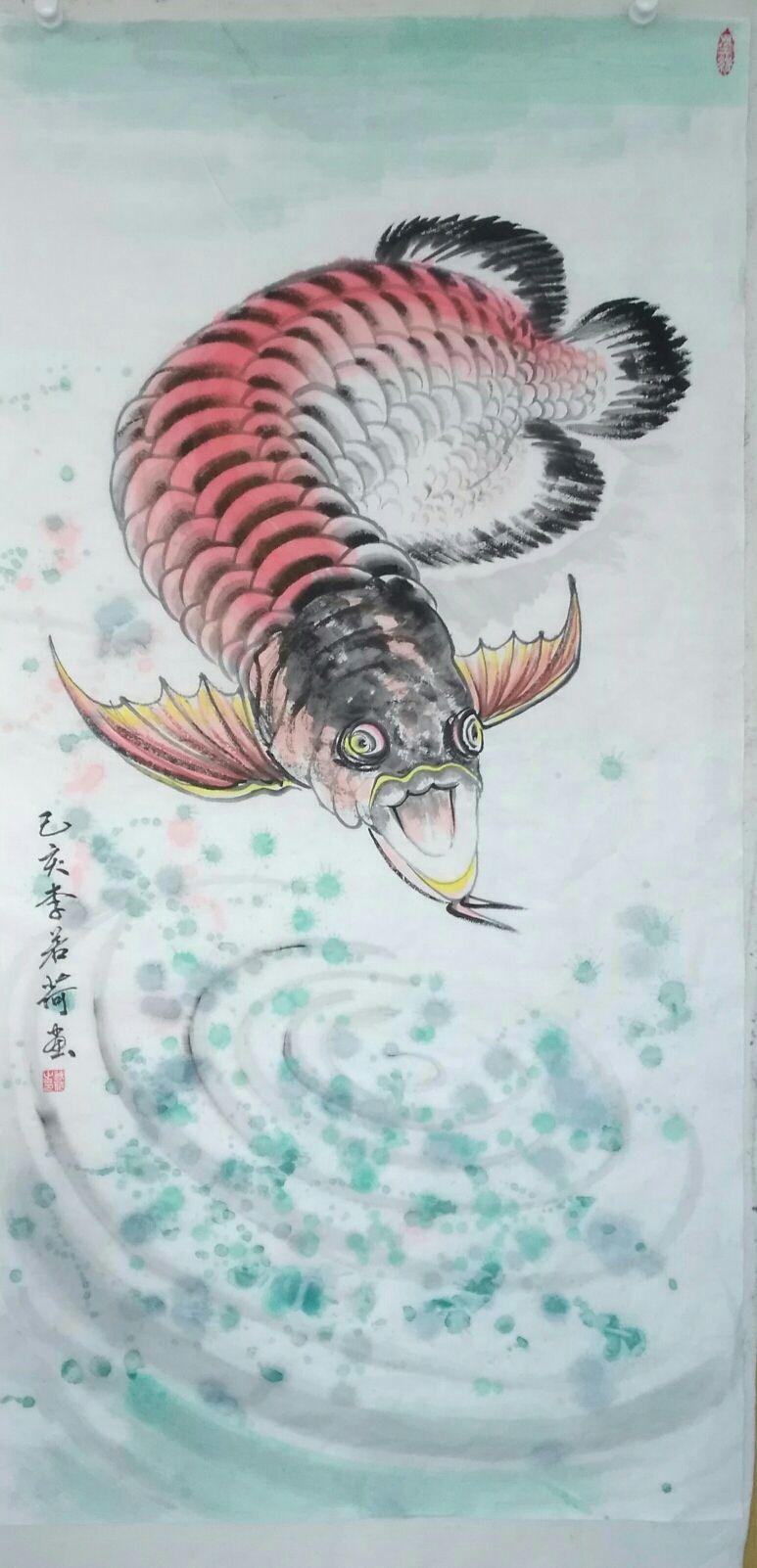 龍魚怎么分辨高背和過背（ 龍魚怎么區(qū)分高背過背）