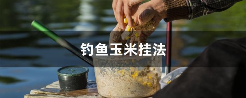 釣魚玉米掛法