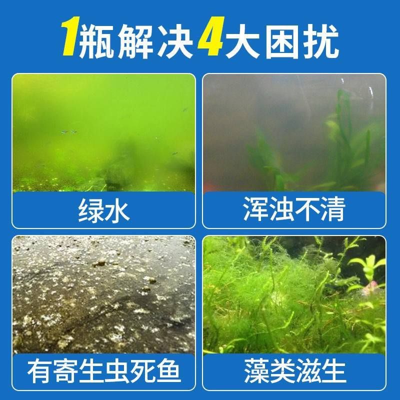 魚缸有青苔好嗎(魚缸有青苔是怎么回事) 魚缸水泵 第2張