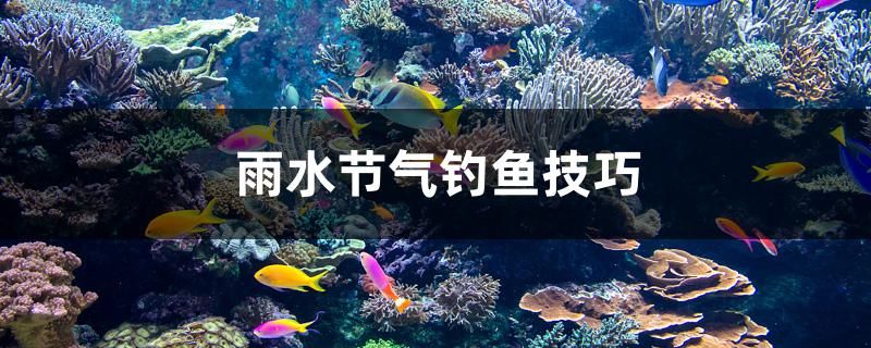 雨水節(jié)氣釣魚(yú)技巧 其他品牌魚(yú)缸 第1張