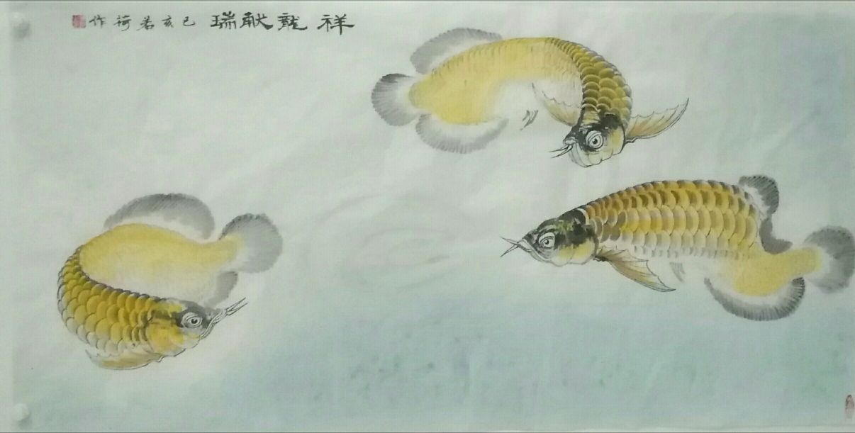 國畫金龍魚 觀賞魚論壇 第7張