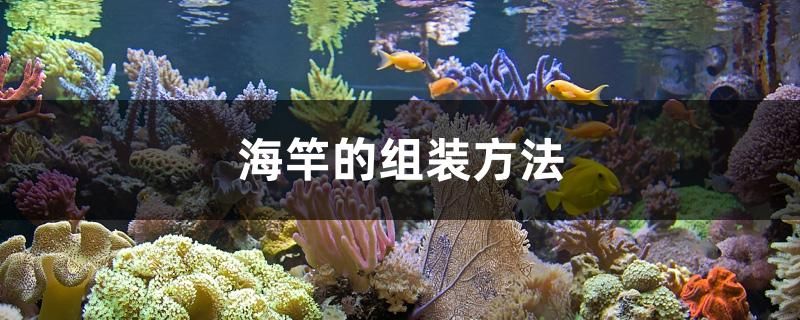 海竿的組裝方法