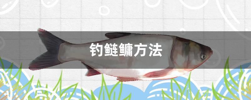 釣鰱鳙方法