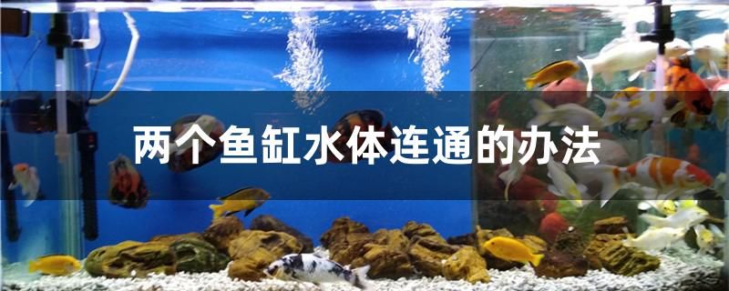 兩個(gè)魚缸水體連通的辦法是什么