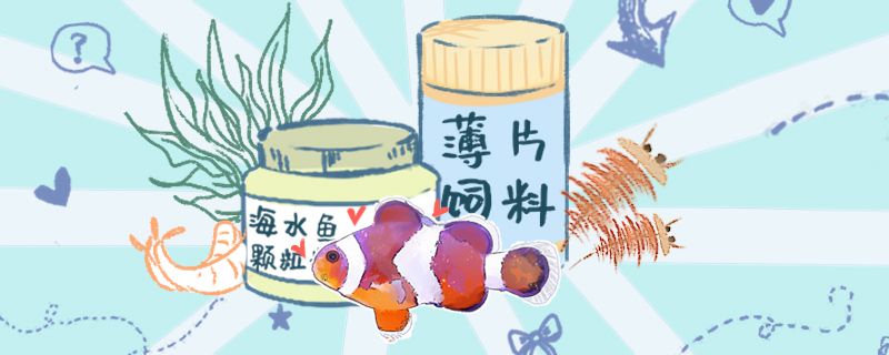 觀賞魚多久喂一次食三天喂一次可以嗎 魚缸清潔用具 第1張