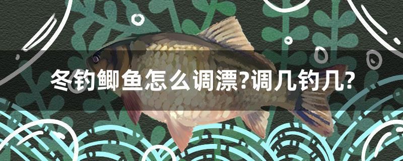 冬釣鯽魚怎么調(diào)漂？調(diào)幾釣幾？ 鸚鵡魚 第1張