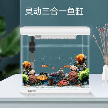 小魚缸一般多少升水(小魚缸一般多少升水啊)