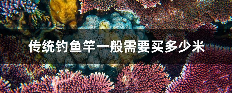 傳統(tǒng)釣魚竿一般需要買多少米