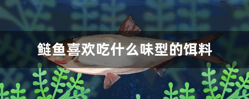 鰱魚喜歡吃什么味型的餌料 黃金夢(mèng)幻雷龍魚 第1張