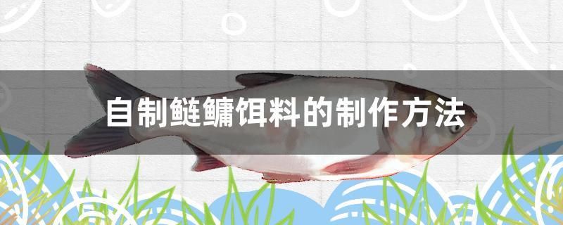 自制鰱鳙餌料的制作方法 申古三間魚(yú) 第1張