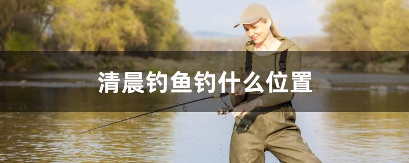 清晨釣魚釣什么位置