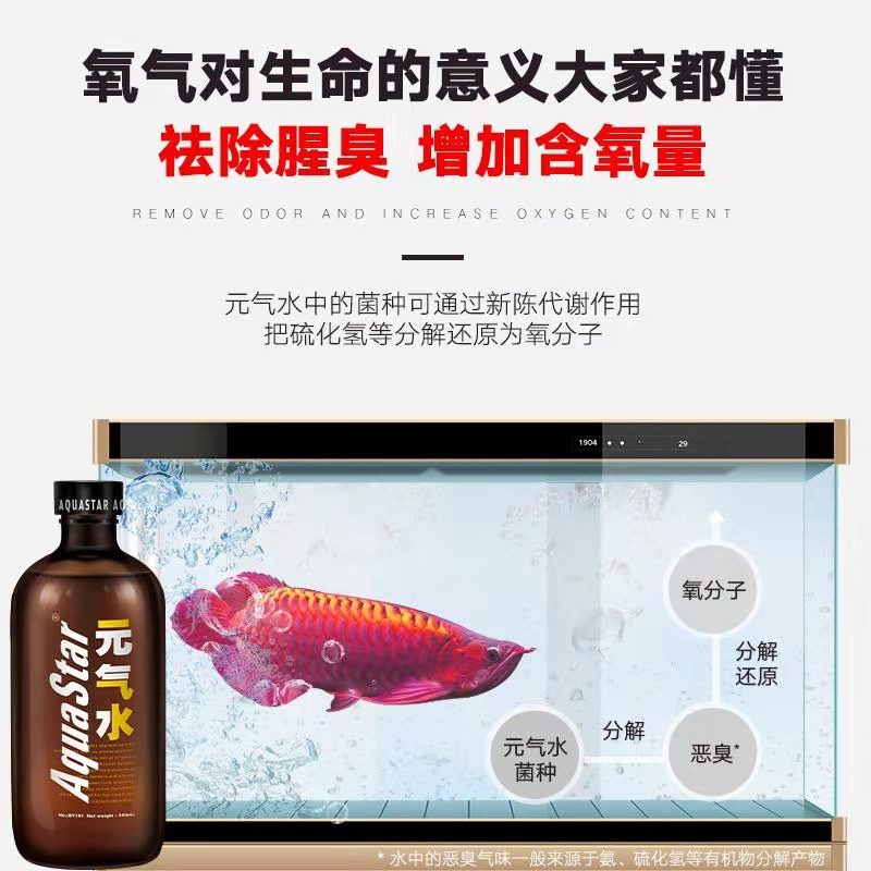 【活動(dòng)】紅紅火火鸚鵡魚(yú)走起來(lái) 觀賞魚(yú)論壇 第6張