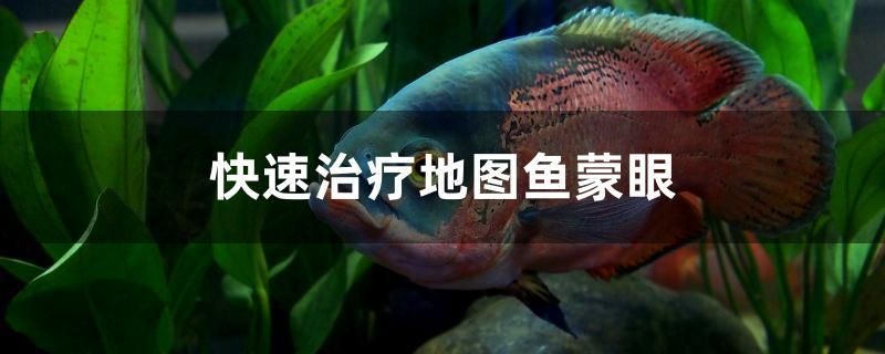 快速治療地圖魚蒙眼