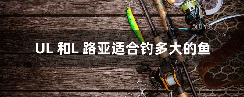 魚缸充氧機(jī)原理（魚缸充氧機(jī)使用方法） 大正錦鯉魚