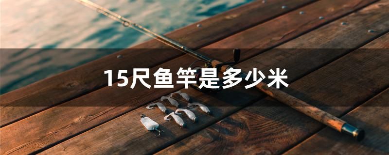 15尺魚竿是多少米 印尼三紋虎 第1張