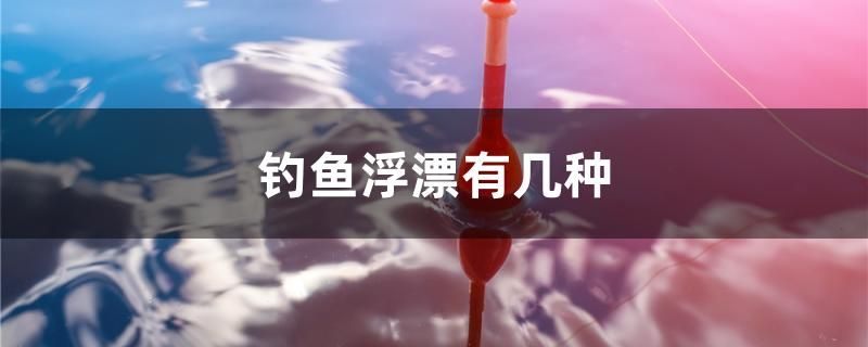 釣魚浮漂有幾種 一眉道人魚 第1張