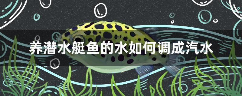 養(yǎng)潛水艇魚的水如何調(diào)成汽水