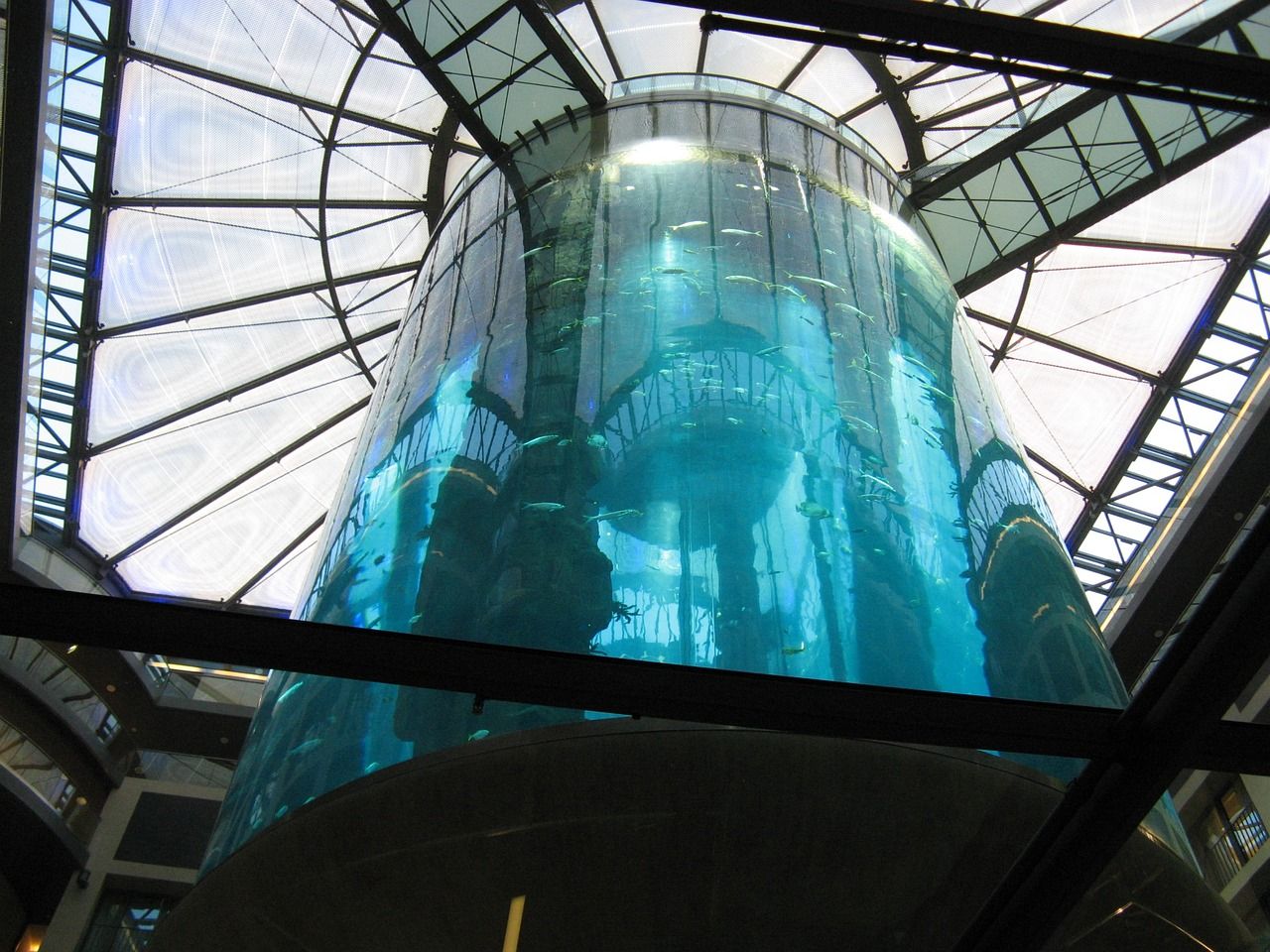 水族館有賣魚缸嗎圖片高清的（水族館水族館）