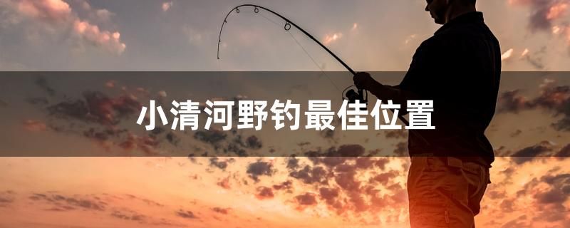 小清河野釣最佳位置 虎魚魚苗 第1張