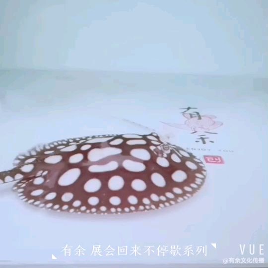 附近哪有定做魚缸的地方啊多少錢（請問哪里可以定做定制魚缸水族箱之類的）