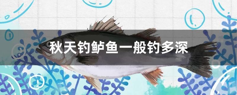 秋天釣鱸魚(yú)一般釣多深 三間鼠魚(yú)苗 第1張