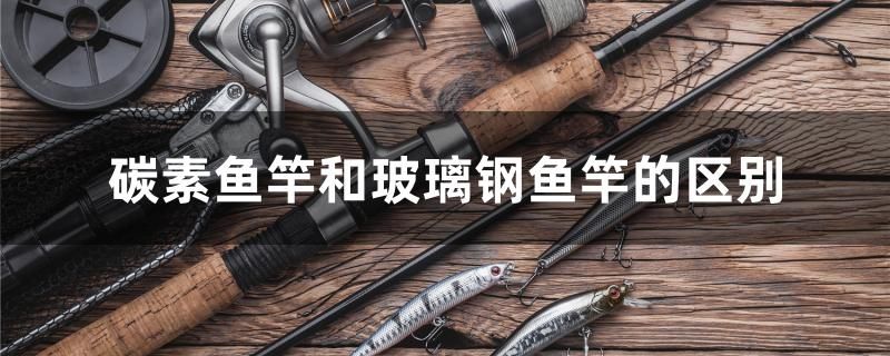 碳素魚竿和玻璃鋼魚竿的區(qū)別