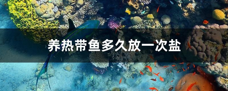 養(yǎng)熱帶魚(yú)多久放一次鹽 水族維護(hù)服務(wù)（上門(mén)） 第1張