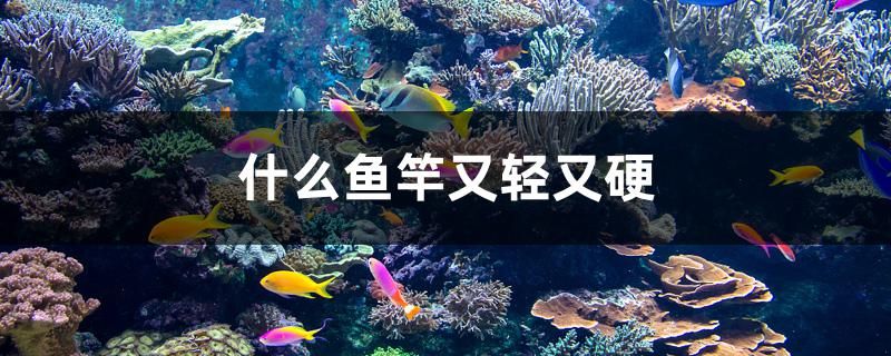 什么魚竿又輕又硬 綠皮辣椒小紅龍 第1張