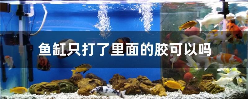 魚缸只打了里面的膠可以嗎