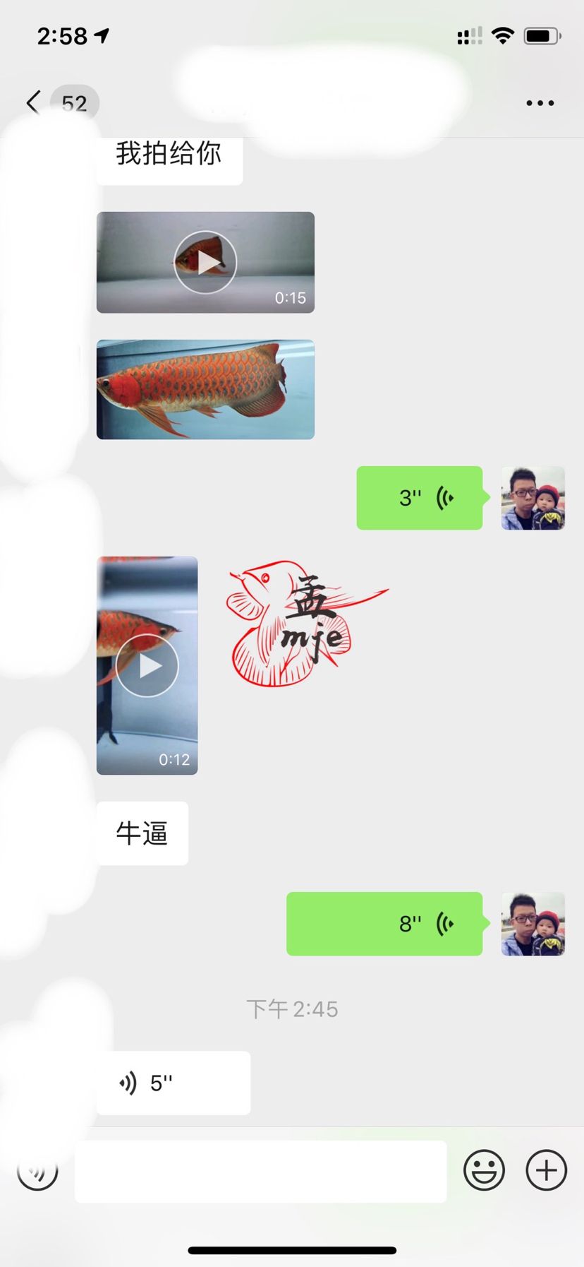 孟吉爾～萬吉，河北魚友飼養(yǎng)反饋 觀賞魚論壇 第1張