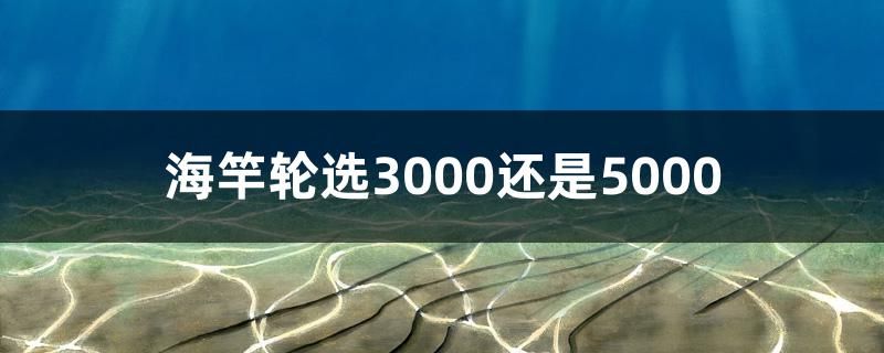 海竿輪選3000還是5000 印尼小紅龍 第1張